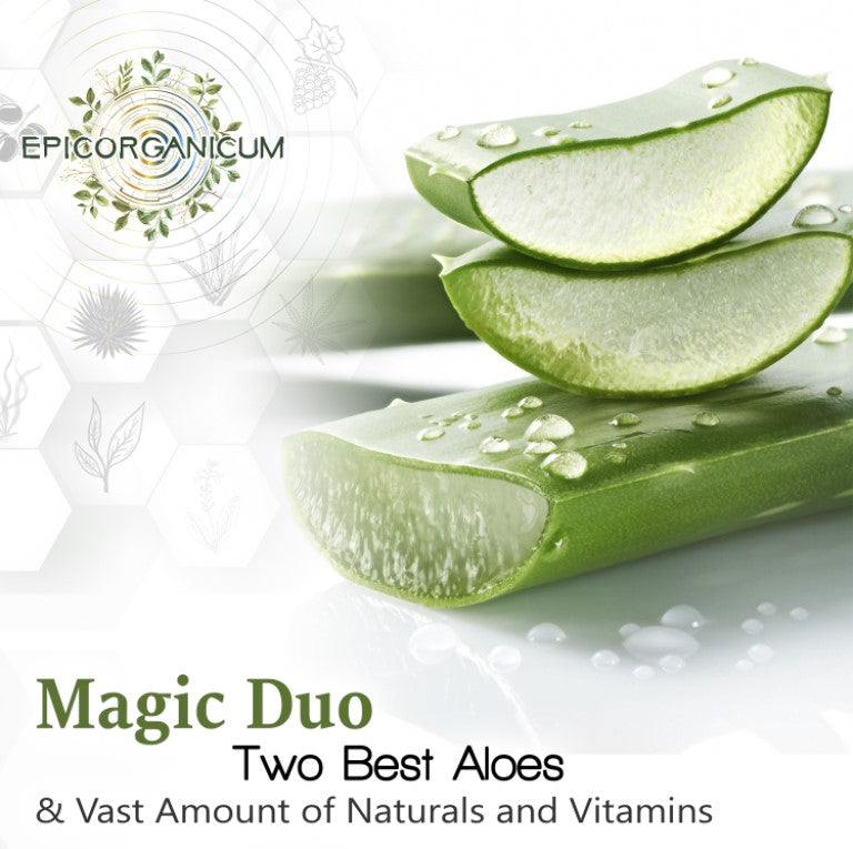 Aloe Vera Based Moisturizer Cream for Face and Body (8 oz) EpicOrganic